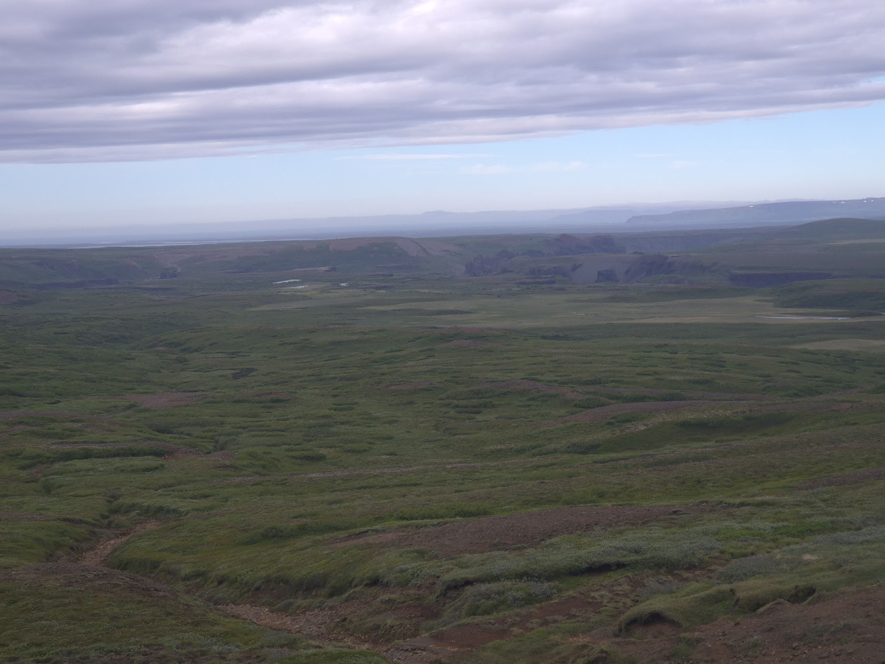 Wide green moss-covered plateau looking toward the Jökulsárgljúfur canyon area near Hljóðaklettar