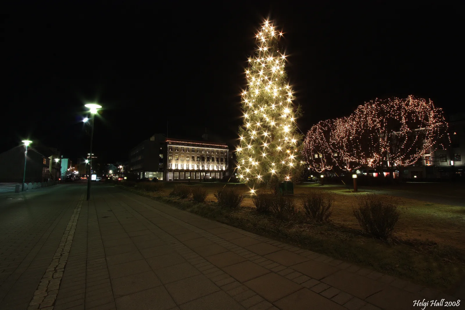 Tall Christmas tree covered in warm lights on Austurvöllur square in Reykjavík at night